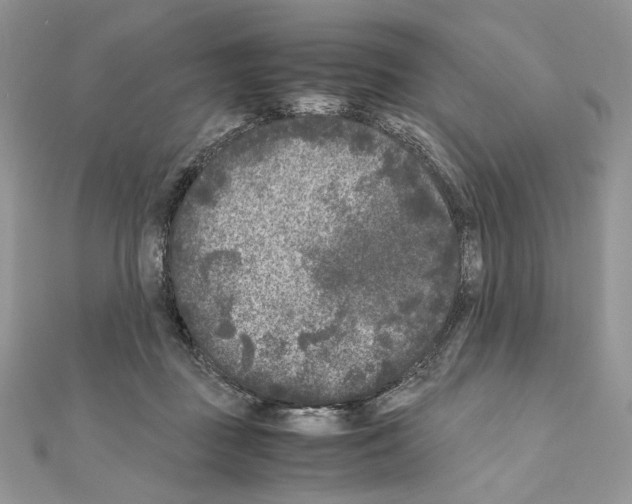 X0000111010363200907311056