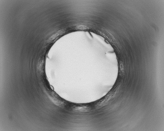 X0000111010364200907311056