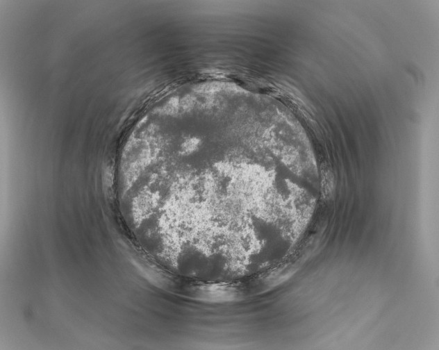 X0000111010365200907311056