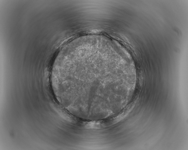 X0000111010366200907311056
