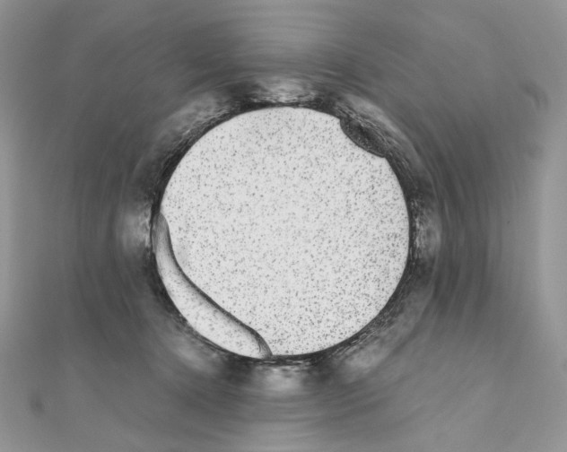 X0000111010368200907311056