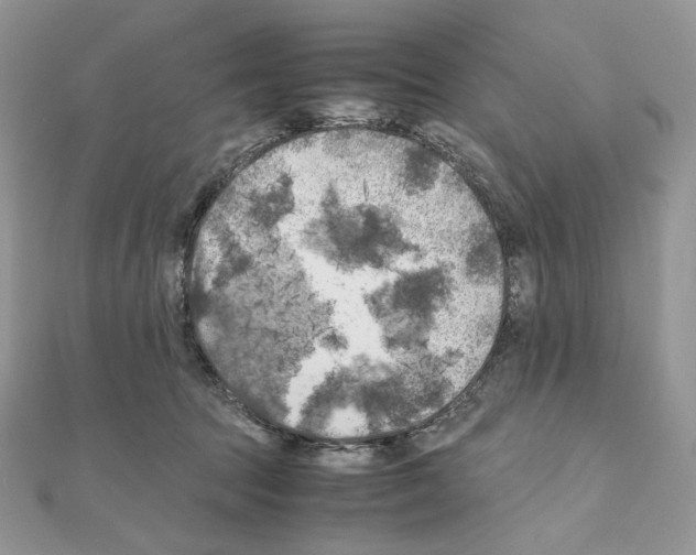 X0000111010369200907311056