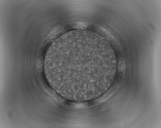 X0000111010370200907311056