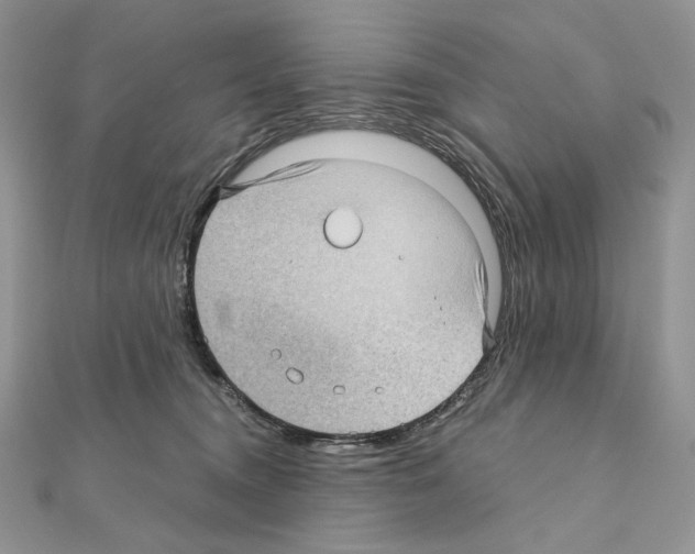 X0000111010372200907311056