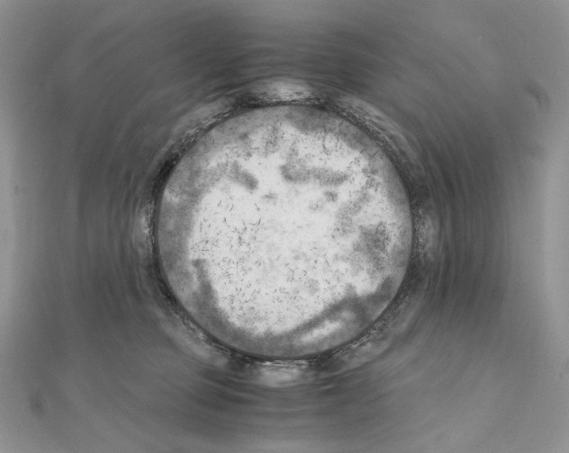 X0000111010373200907311056