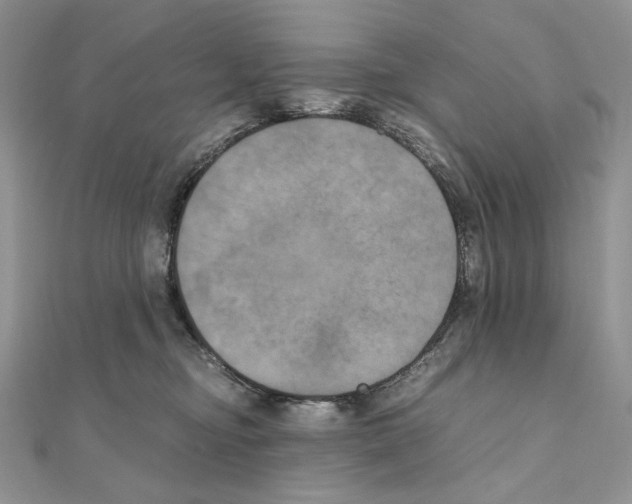 X0000111010374200907311056