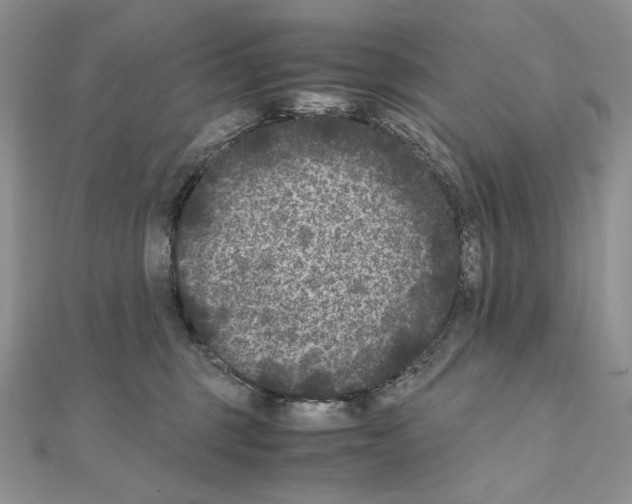 X0000111010375200907311056