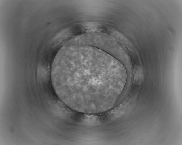 X0000111010376200907311056