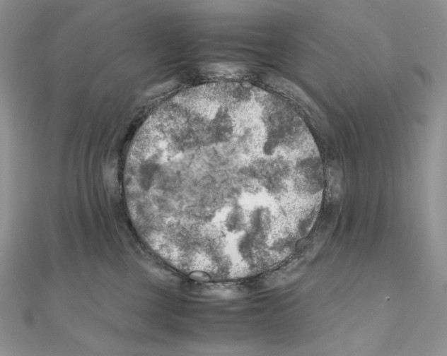 X0000111010377200907311056
