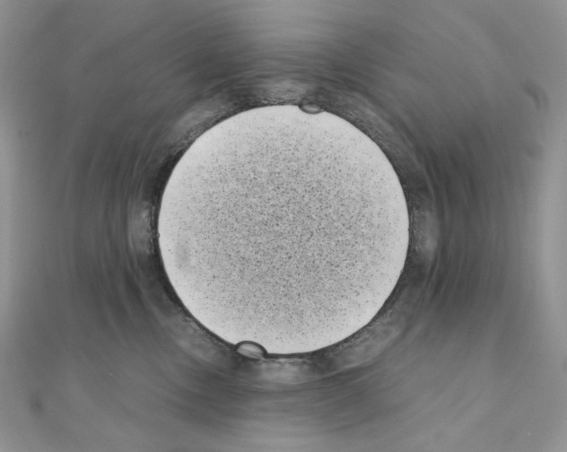 X0000111010378200907311056