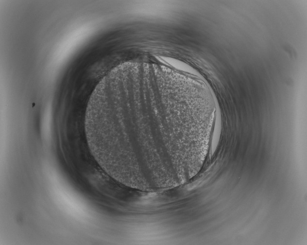 X0000111010382200907311056