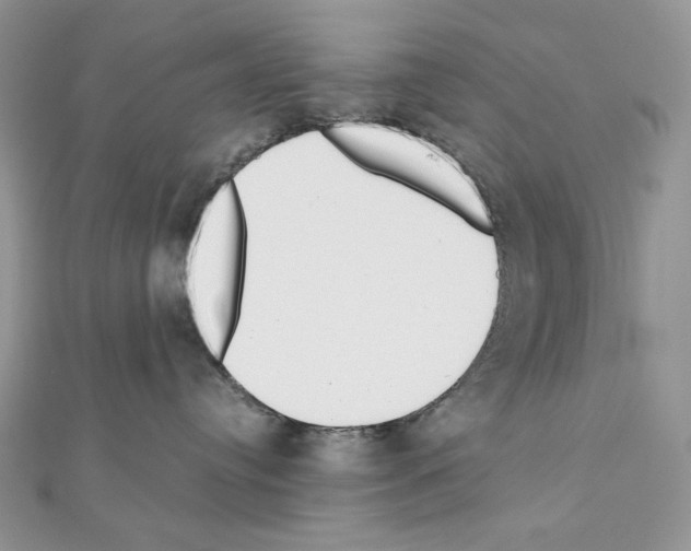 X0000111010384200907311056
