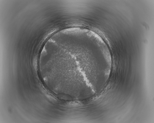 X0000111010386200907311056