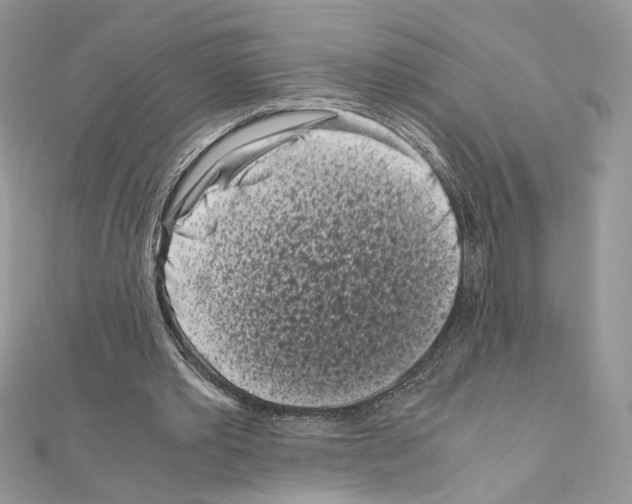 X0000111010389200907311056