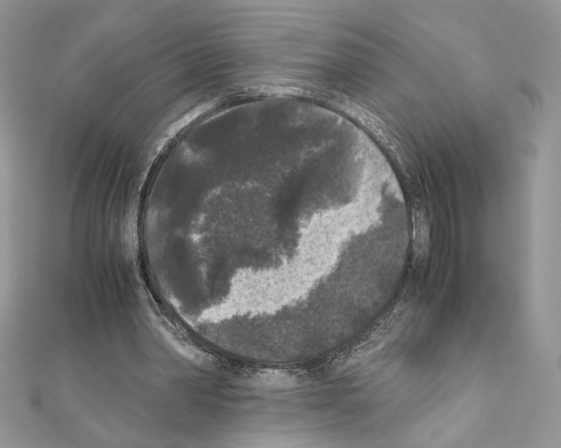 X0000111010390200907311056