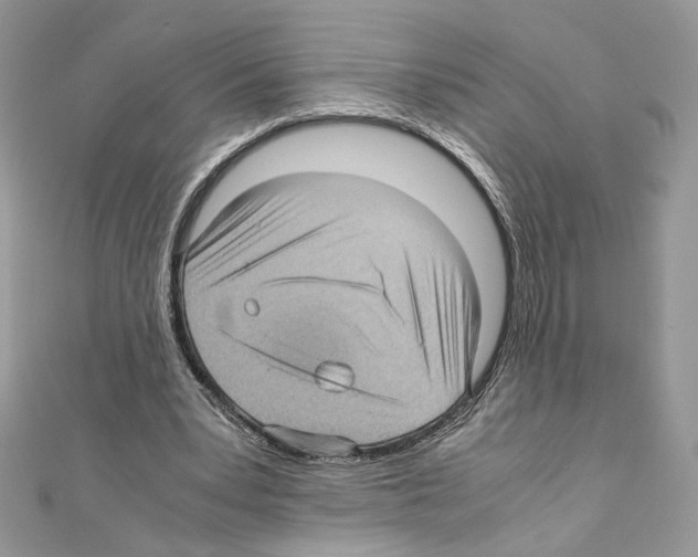 X0000111010391200907311056