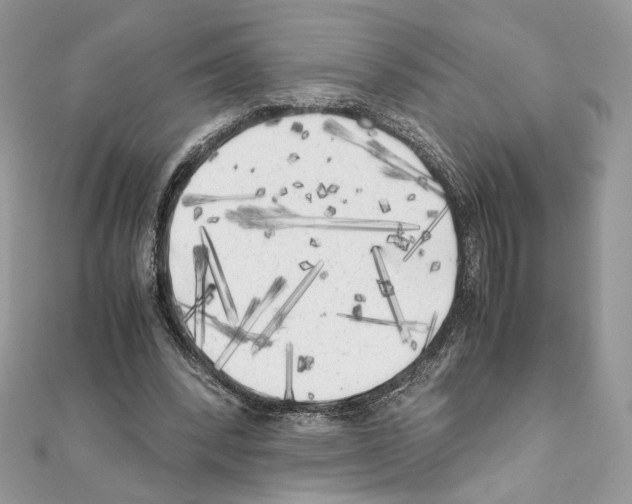 X0000111010392200907311056