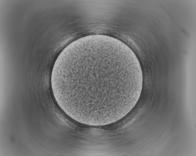 X0000111010393200907311056