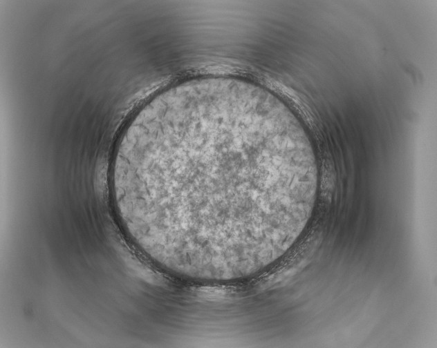 X0000111010394200907311056