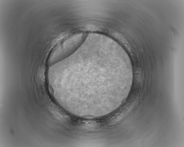 X0000111010395200907311056