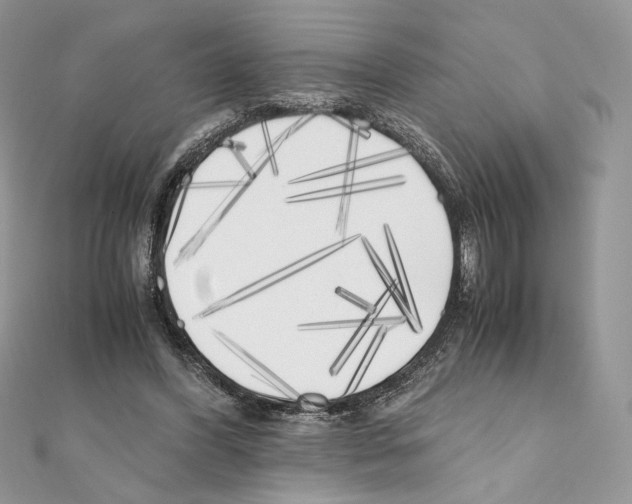 X0000111010396200907311056