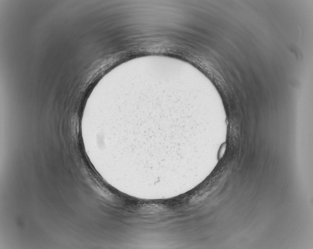 X0000111010397200907311056