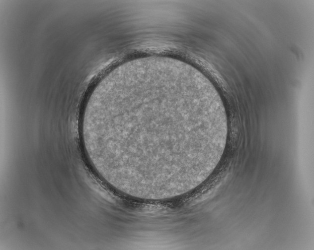 X0000111010399200907311056