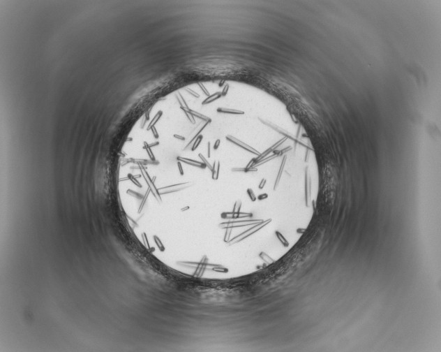 X0000111010400200907311055