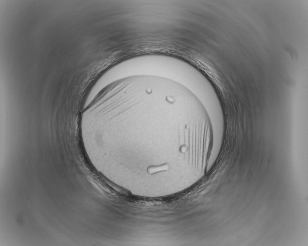 X0000111010401200907311055