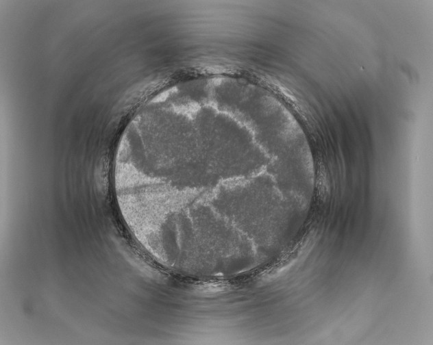 X0000111010402200907311055