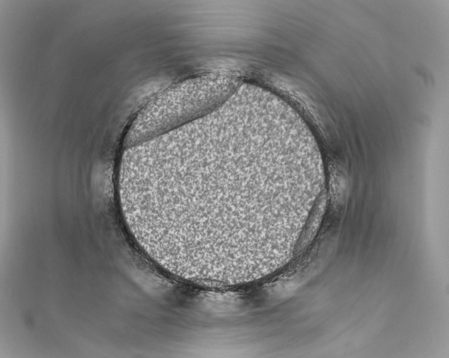X0000111010403200907311055
