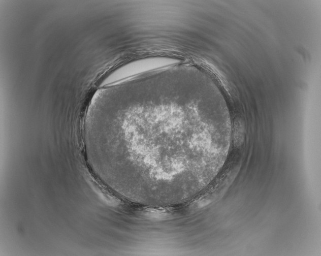 X0000111010405200907311055