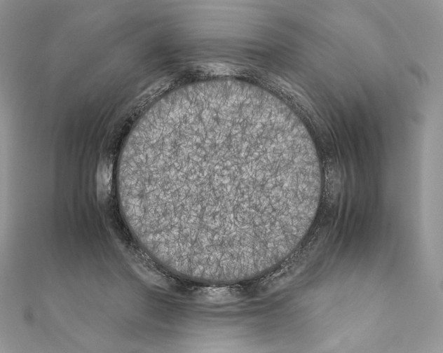 X0000111010406200907311055