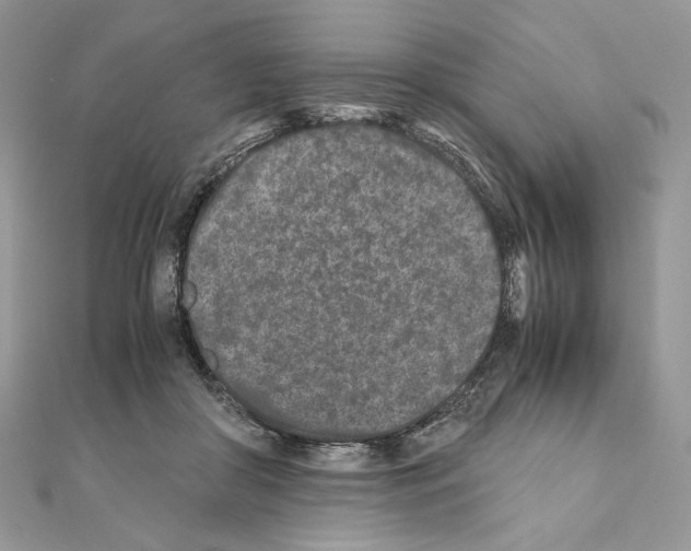 X0000111010410200907311055