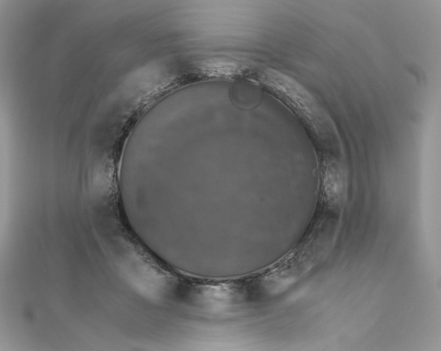 X0000111010411200907311055