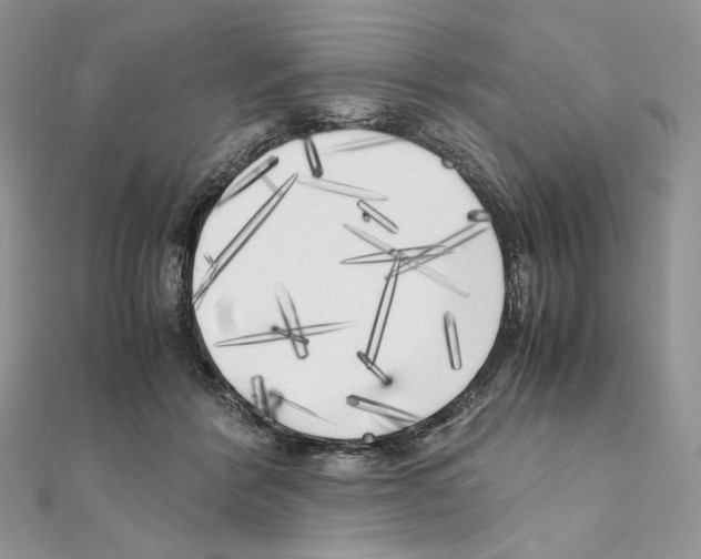 X0000111010412200907311055