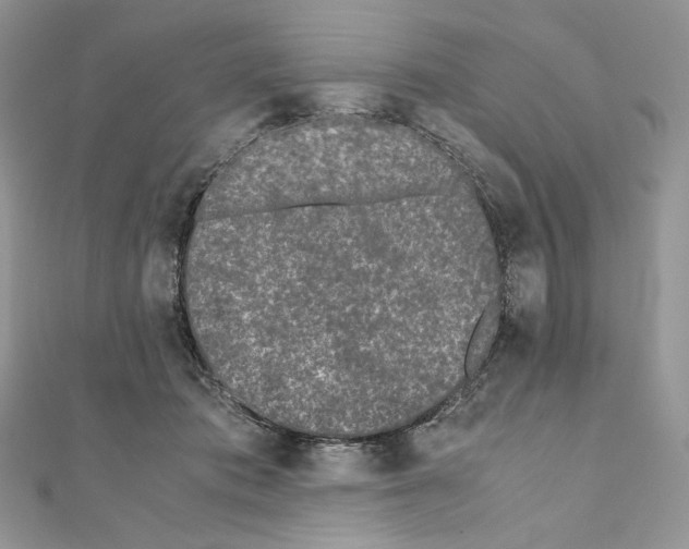 X0000111010413200907311055