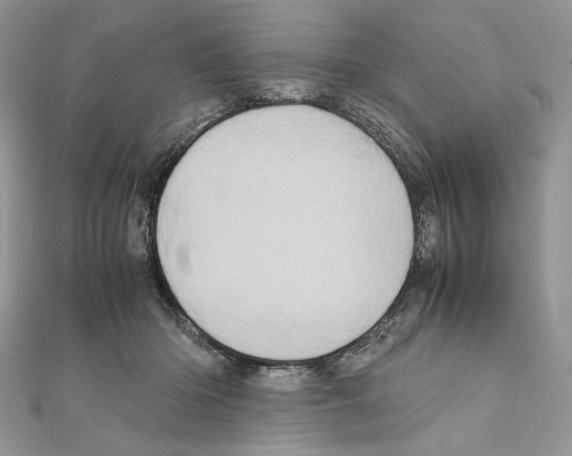 X0000111010414200907311055