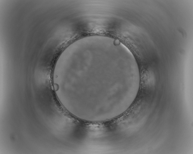 X0000111010415200907311055