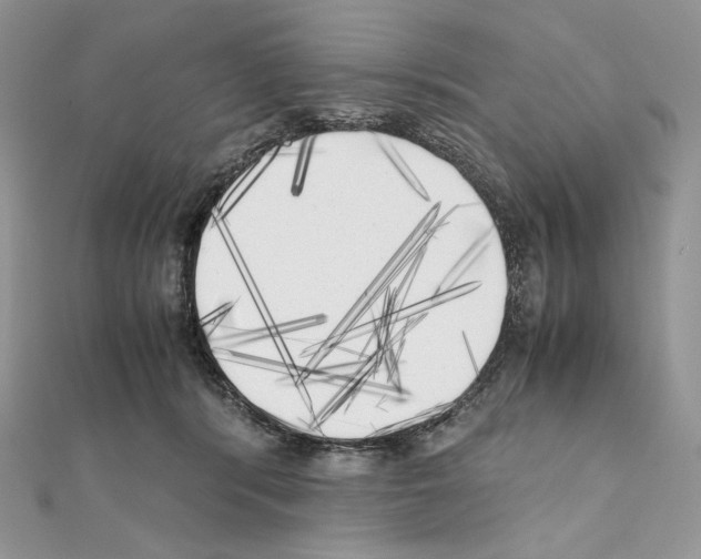 X0000111010416200907311055
