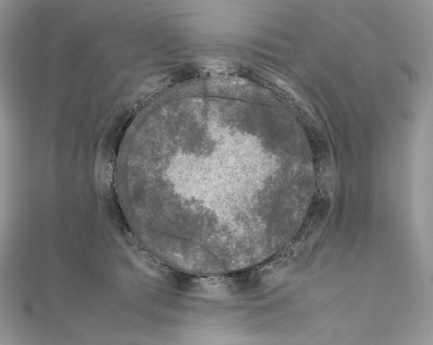 X0000111010417200907311055