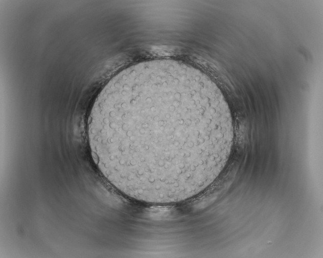 X0000111010418200907311055