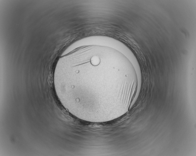 X0000111010419200907311055