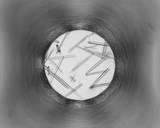 X0000111010420200907311055