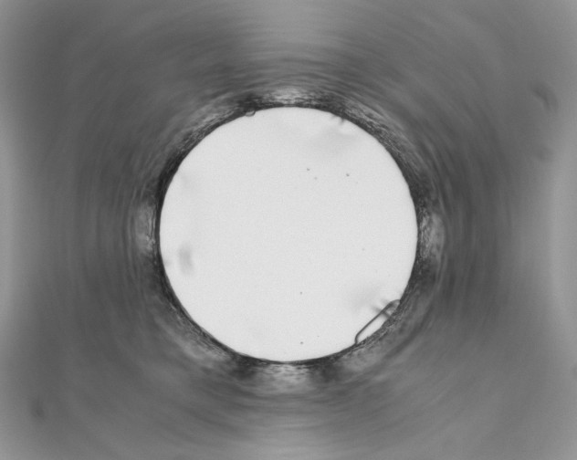 X0000111010421200907311055