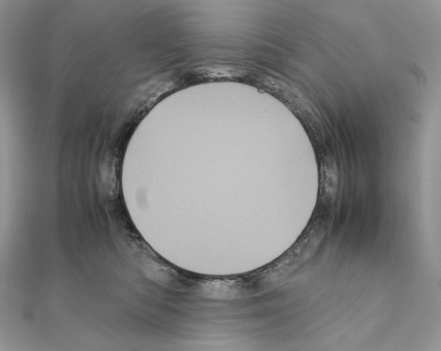 X0000111010422200907311055