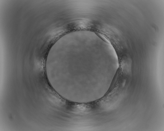 X0000111010423200907311055