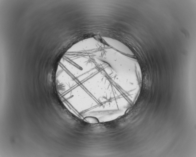 X0000111010424200907311055