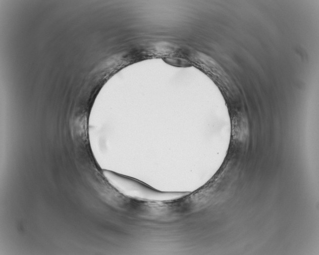 X0000111010425200907311055