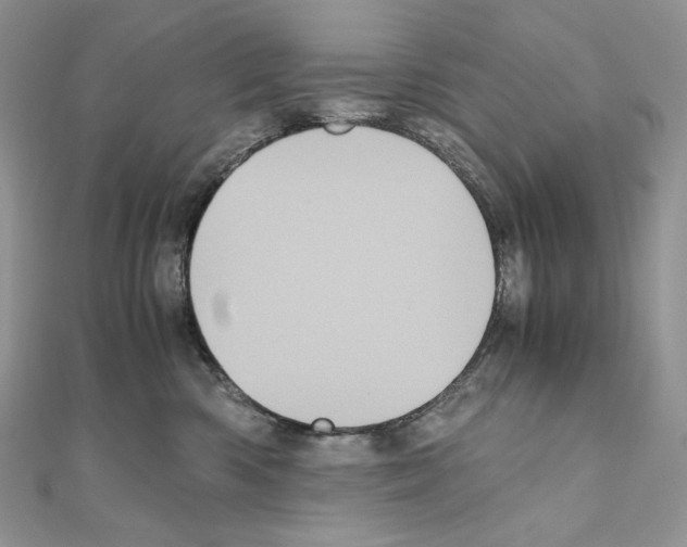 X0000111010426200907311055